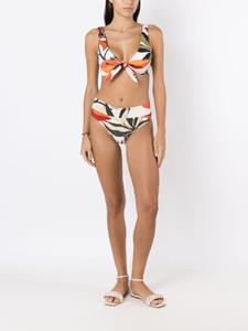 Brigitte Bikini met palmprint - Veelkleurig