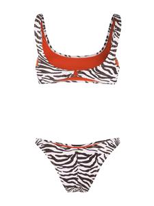 Reina Olga Bikini met zebraprint - Wit