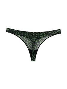 Marlies Dekkers String met luipaardprint - Groen