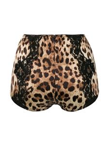 Dolce & Gabbana Shorts met luipaardprint - Beige