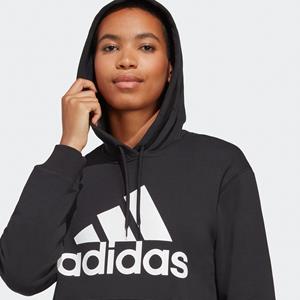 ADIDAS SPORTSWEAR Hoodie Essentials Big Logo Regular