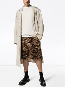 Dolce & Gabbana Shorts met luipaardprint - Bruin