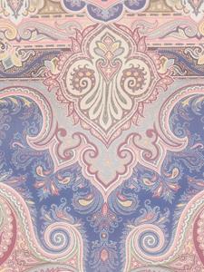 ETRO Sjaal met abstracte print - Roze