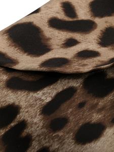 Dolce & Gabbana Handschoenen met luipaardprint - Bruin