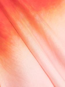 Alexander McQueen Sjaal met kleurverloop - Roze