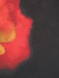 Alexander McQueen Sjaal met doodskop patroon - Zwart