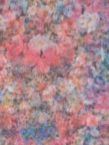 Philosophy Di Lorenzo Serafini Sjaal met bloemenprint - Blauw