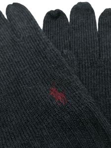 Polo Ralph Lauren Handschoenen met geborduurd logo - Grijs
