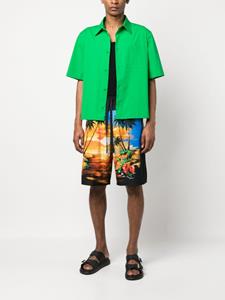 Dolce & Gabbana Shorts met palmboomprint - Blauw