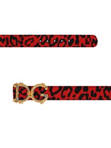 Dolce & Gabbana Riem met luipaardprint - Rood