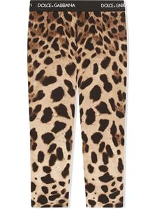 Dolce & Gabbana Kids Legging met luipaardprint - Bruin