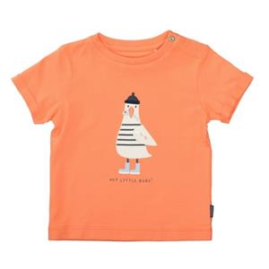 Staccato T-shirt apricot