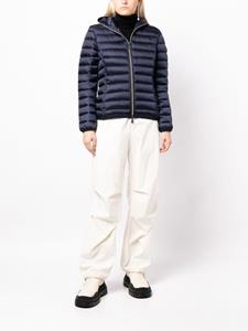 Save The Duck Alexis hooded puffer jacket - Blauw