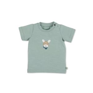 Sterntaler Kurzarmshirt GOTS Kurzarm-Shirt Esel Emmi (1-tlg., GOTS Babyshirt mit Schulterknöpfung, Kinder T-shirt) T-Shirt Kurzarm mit süßen Applikationen, Kindershirt Rundhals