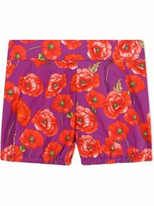 Dolce & Gabbana Kids Geplooide shorts - Paars