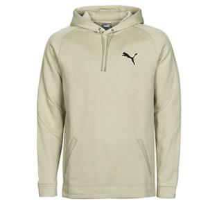 Puma Sweater  DAY IN MOTION HOODIE DK