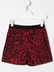 Dolce & Gabbana Kids Zwembroek met luipaardprint - Rood