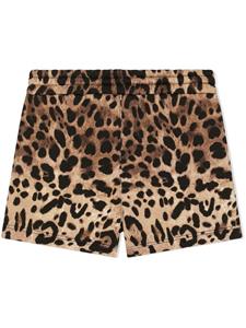 Dolce & Gabbana Kids Shorts met luipaardprint - Bruin