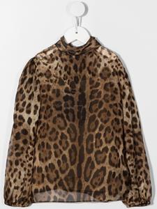 Dolce & Gabbana Kids Shirt met luipaardprint - Bruin