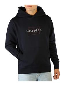 Tommy hilfiger  linear flag hoody