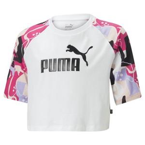 Puma T-shirt Korte Mouw  G ESS+ ART RAGLAN TEE