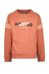 Raizzed Ki Jamison  Sweater