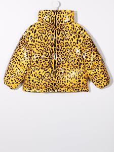 Dolce & Gabbana Kids Jack met luipaardprint - Geel