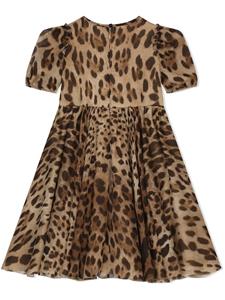 Dolce & Gabbana Kids Jurk met luipaardprint - Bruin