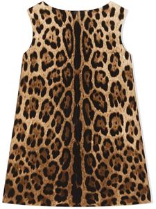Dolce & Gabbana Kids Jurk met luipaardprint - Bruin