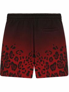 Dolce & Gabbana Kids Shorts met luipaardprint - Zwart