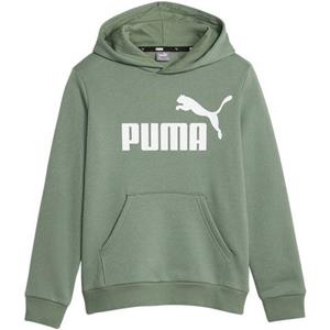 PUMA Essentials Big Logo Fleece-Hoodie Jungen 45 - eucalyptus