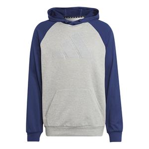 Adidas GG Big Logo Sweater Met Capuchon Heren
