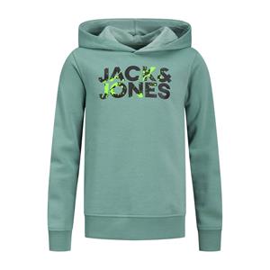 Jack & Jones Commercial Sweat Hoodie Junior