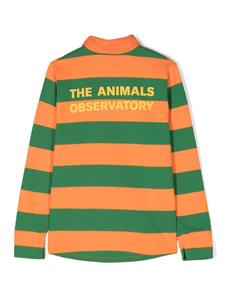The Animals Observatory Poloshirt met geborduurd logo - Oranje