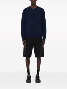 Alexander McQueen Intarsia sweater met doodskop - Blauw