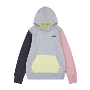 LEVI'S KIDS Hoodie in molton