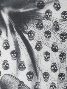 Alexander McQueen Dragonfly Biker skull-print scarf - Zwart