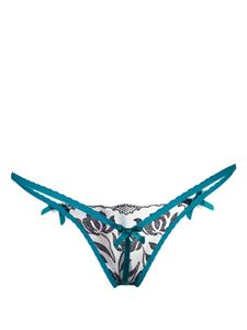 Agent Provocateur Sparkle floral-embroidered tulle thong - Blauw