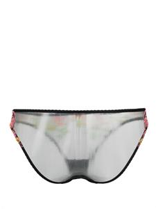 Agent Provocateur Callypso floral-embroidered tulle briefs - Zwart