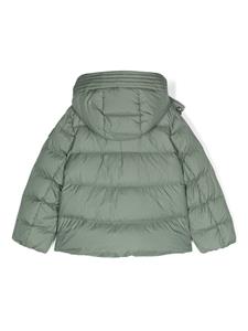 Woolrich Kids hooded puffer jacket - Groen
