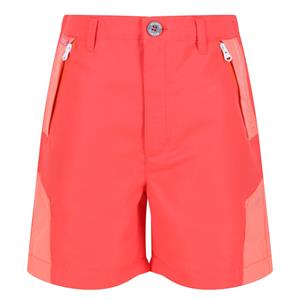 Regatta Sorcer ii bergshorts voor kinderen/kinderen