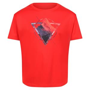 Regatta Kinderen/kinderen alvarado vi berg t-shirt