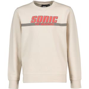 Zeeman Tiener sweater Sonic Lange mouwen