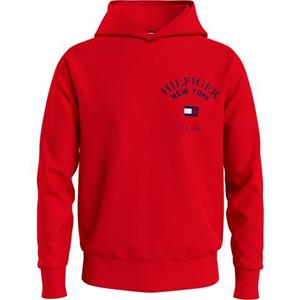 Tommy Hilfiger Hoodie