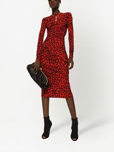 Dolce & Gabbana Midi-jurk met luipaardprint - Oranje