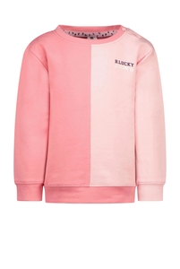 B.Nosy Baby meisjes sweater colorblock horizontal strawberry ice
