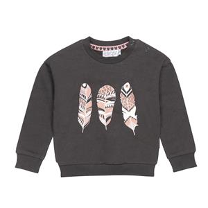 Dirkje Baby meisjes sweater feathers dark