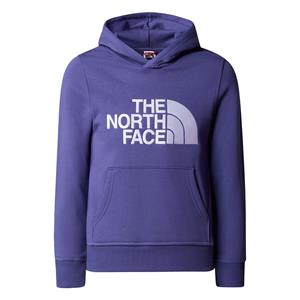 The north face Hoodie