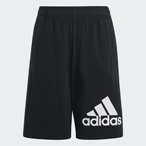 adidas Sportswear Shorts ESSENTIALS BIG LOGO COTTON (1-tlg)