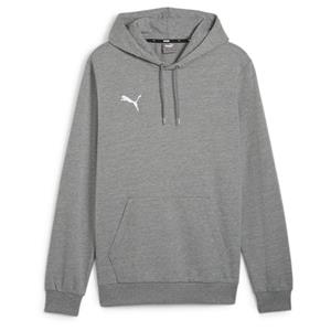 PUMA Hoodie teamGOAL Casuals - Grijs